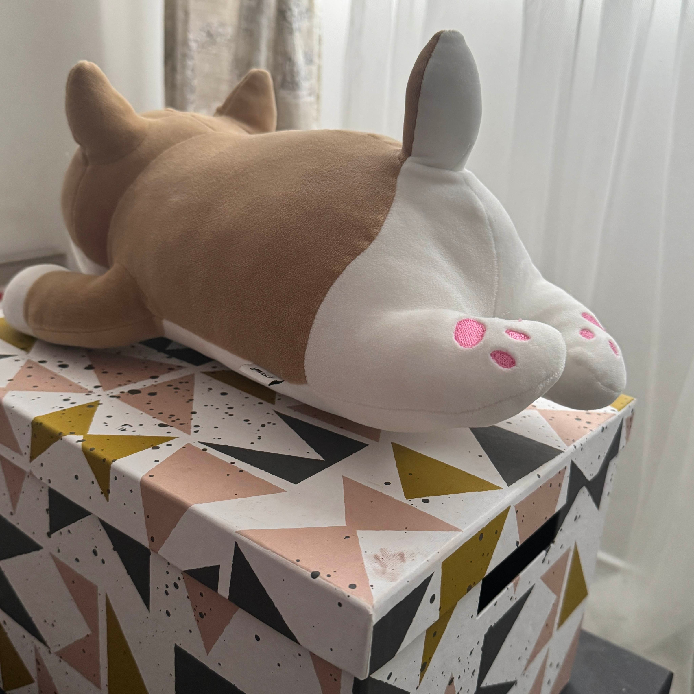 Back angle for reference.